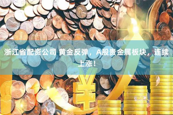 浙江省配资公司 黄金反弹，A股贵金属板块，连续上涨！