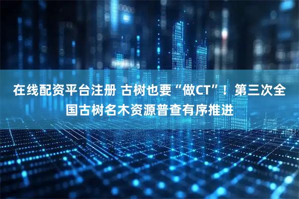 在线配资平台注册 古树也要“做CT”！第三次全国古树名木资源普查有序推进